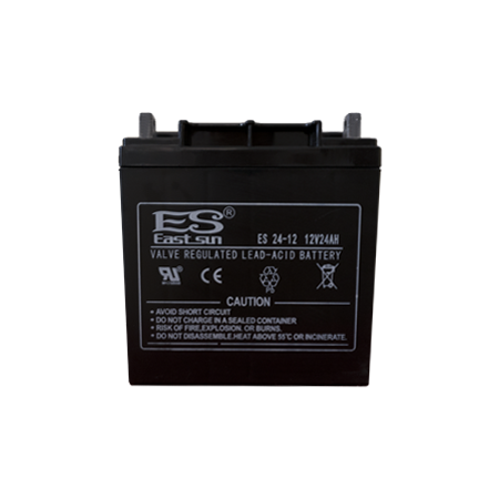 ESB 12V 24AH Lead-acid Battery